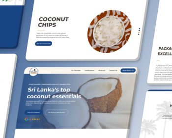 web design